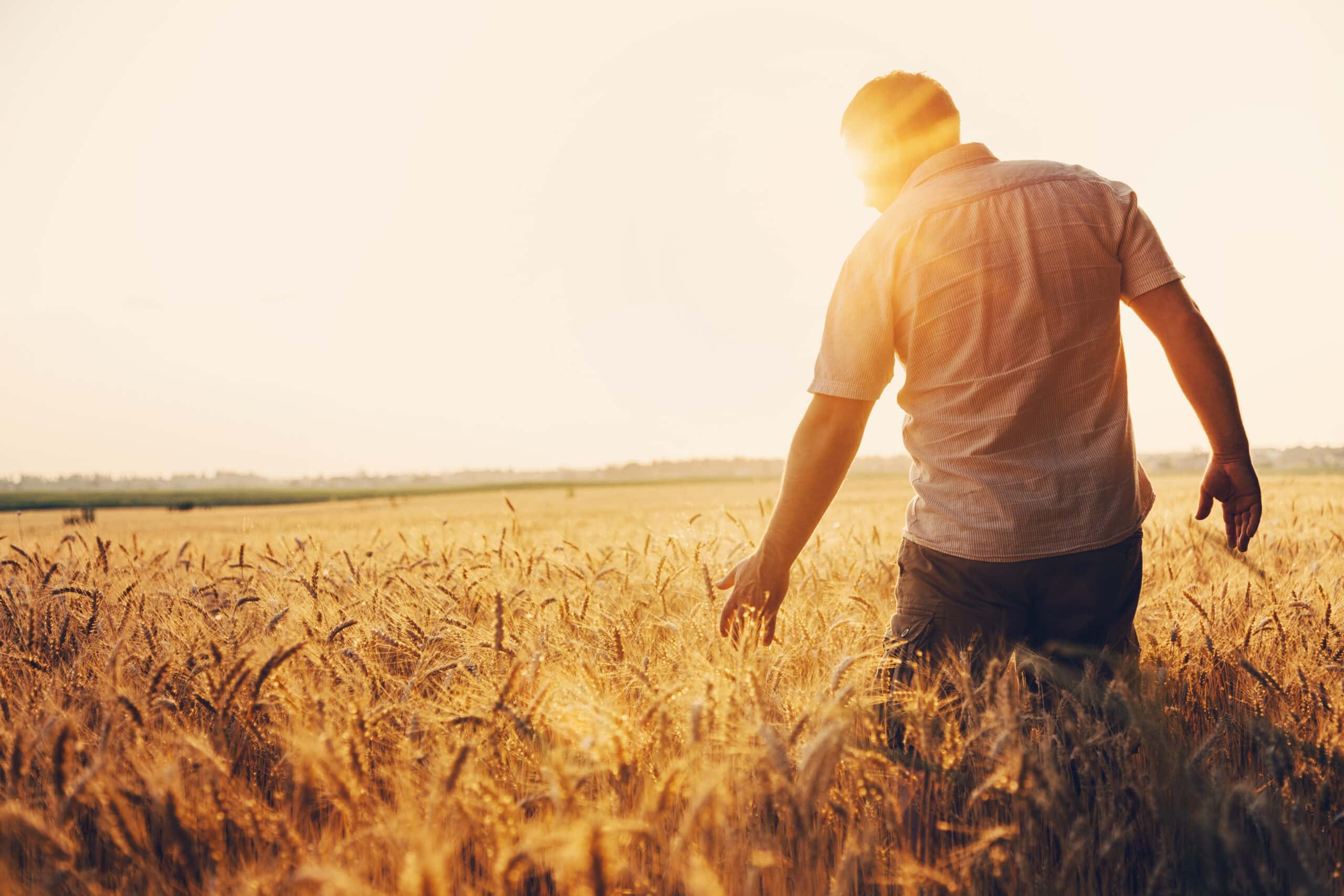 Celebrating National Ag Day: Its History, Importance, & How to ...