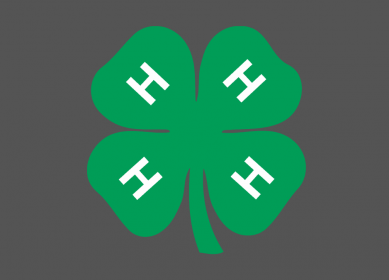 Copy-of-4-H-Contest-3-940x675