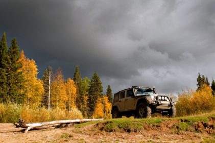 Depositphotos_29959821_original-980x651