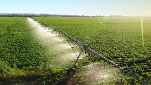Watering crops